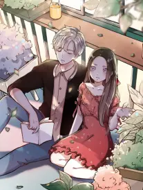 漫画原作图鉴卡 话数与单行本卷数